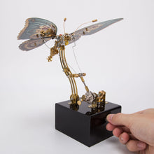 
                        
                          将图片加载到图库查看器，Dynamic Butterfly with Music Box (Red)
                        
                      