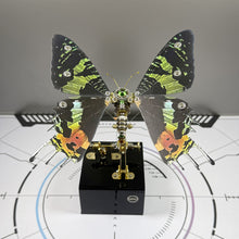 
                        
                          Load image into Gallery viewer, Dynamic Butterfly with Music Box (Green)
                        
                      