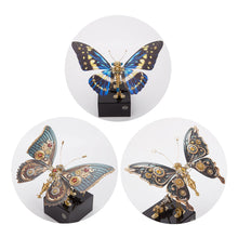 
                        
                          将图片加载到图库查看器，Dynamic Butterfly with Music Box (Red)
                        
                      