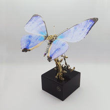 
                        
                          Load image into Gallery viewer, Dynamic Butterfly with Music Box (Purple)
                        
                      