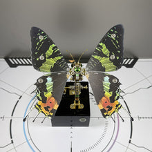 
                        
                          Load image into Gallery viewer, Dynamic Butterfly with Music Box (Green)
                        
                      