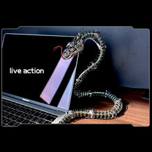 
                        
                          Cargar imagen en el visor de la galería, Spiky Blue-Green Snake
                        
                      
