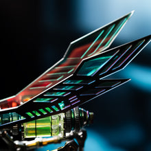 
                        
                          Load image into Gallery viewer, Emerald Mantis
                        
                      