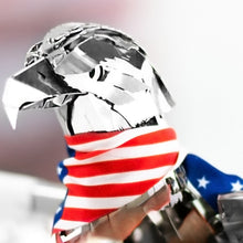 
                          
                            Load image into Gallery viewer, Unity Wings Silver Armor
                          
                        