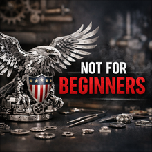 
                          
                            Load image into Gallery viewer, UNITY WINGS SILVER ARMOR
                          
                        