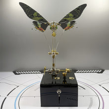 
                        
                          Load image into Gallery viewer, Dynamic Butterfly with Music Box (Green)
                        
                      