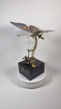 
                        
                          在图库查看器中加载和播放视频，Dynamic Butterfly with Music Box (Red)
                        
                      