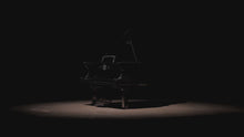 
                        
                          Завантаження та відтворення відео в засобі перегляду галереї, GRANDE PIANOLA PIANO
                        
                      